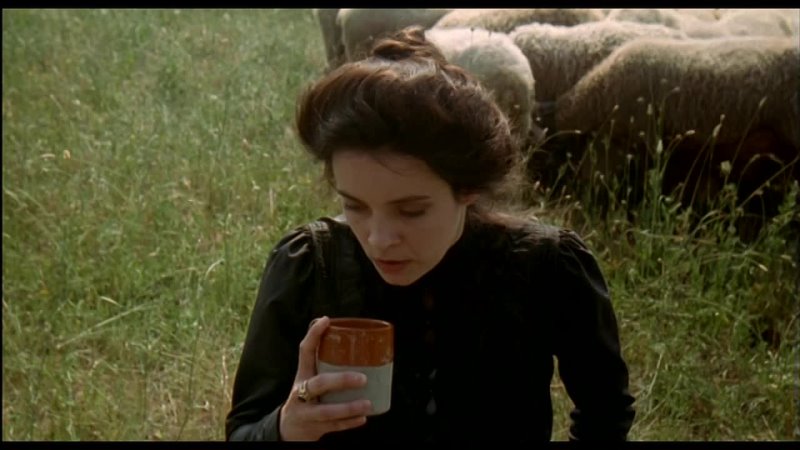 porn флореаль пора цветения фиориль пора цветения фиориль дикий цветок fiorile 1993 hq porn