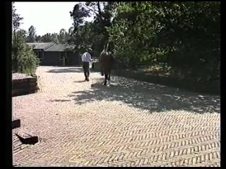 porn болезни ног у лошадей видео приложение к журналу золотой мустанг porn