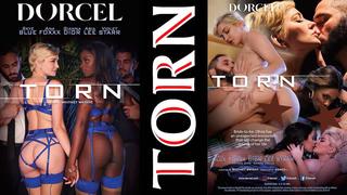 porn gianna dior violet starr skye blue ana foxxx aria lee hd porn