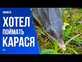 porn хотел поймать карася но попалась стерлядь 12 porn
