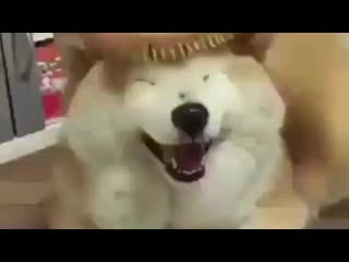porn vminkook sims by porn ¹⁸ porn
