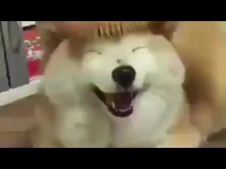 porn jikook sims by porn ¹⁸ porn
