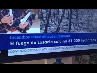 porn lovia vid 20220726 091720 045 mp4 porn