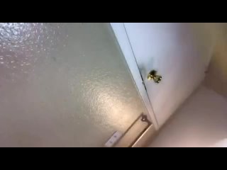 porn порно мемы небольшая неудача porn
