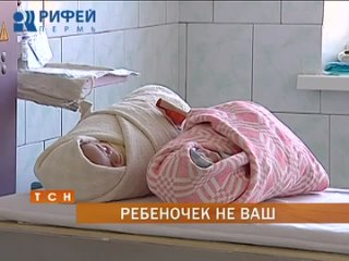 porn в прикамье набирает популярность экспертиза днк на установление отцовства porn