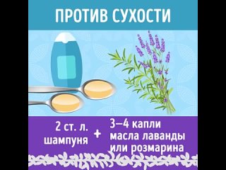 porn 8 способов сделать шампунь как часто ты моешь голову porn