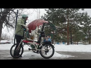 porn lisapedova обзор складного велосипеда tern link d8 porn