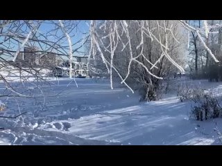 porn зимняя сказка в парке северное тушино зима москва красотаприроды porn