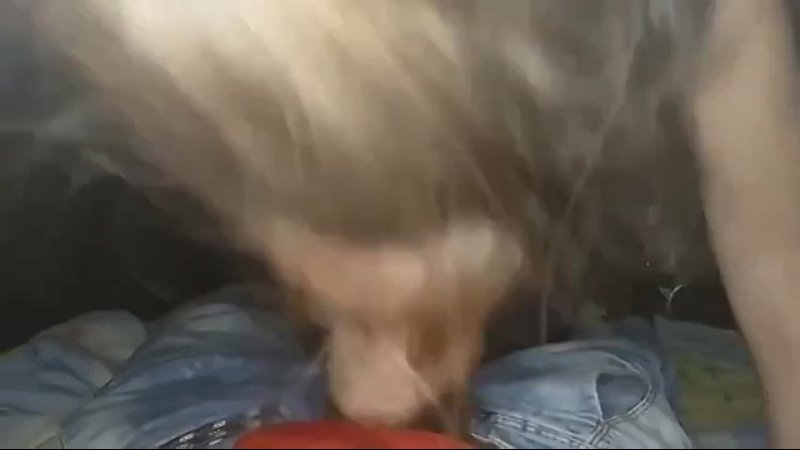 porn наташка очень старательно сосет чтобы заработать на айфон порно ебля инцест минет трахсексизмена porn