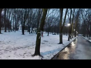 porn сегодня утром в барановичах в сквере на многих деревьях появилось более 100 портретов политзаключённых porn