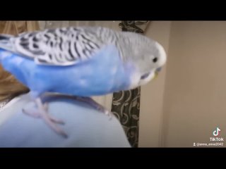 porn скукотищщща smile heart eyes вспомнилось февральское видео blush hd mp4 porn