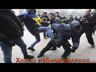 porn украинские беженцы заставляли поляков кричать слава украине украинцы избили поляков в польше porn