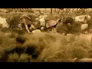 porn рим расцвет и падение империи серия 2 цезарь porn