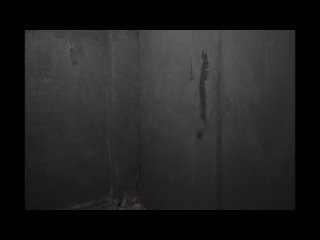 porn дом волка the wolf house 2018 чили драма сюрреализм поток сознания ужасы мультфильм для взрослых porn