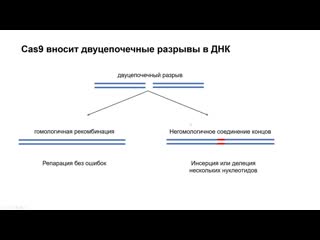 porn gi5 как решать задачи на crisprcas9 механизм и pam porn