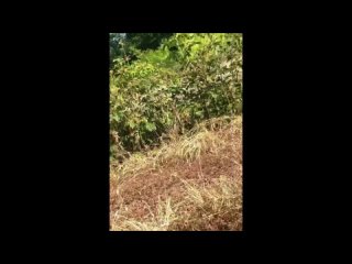 porn секс знакомства выеби меня пожалуйста хочу ищу девушку на ночь бесплатный sex свидание пошлая девушкой без porn