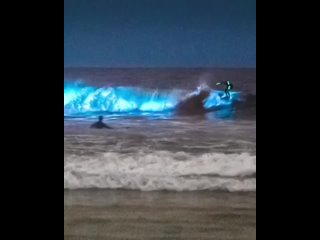 porn в сан диего есть пляж где вода и песок в определённые дни излучают яркое синее свечение ролик с ним набрал porn