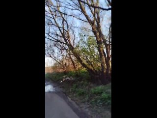 porn доброе утро то праздники то лето пролетит незаметно дорога срочно требует ремонта пишу прокурору генеральная porn