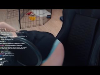 porn аринян спалила трусики на стриме слив сливы знаиенитостей ahrinyan попа грудь сиськи попка стримерша ахринян твич porn