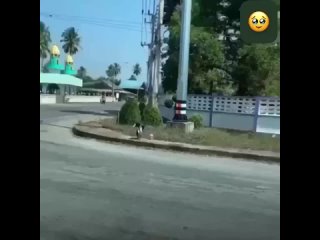 porn чуть чуть помог маленькой школьнице porn