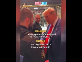 porn во время встречи на турнире ufc 302 дональд трамп пообещал хабибу нурмагомедову остановить войну в палестине porn