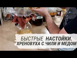 porn быстрые настойки домашняя хреновуха с чили перцем и мёдом porn