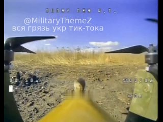 porn нечаянно получилось что полевая мышь залезла на боеприпас российского дрона камикадзе porn