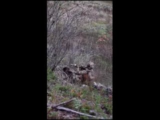 porn мощное видео точного прилёта по украинском молодые кадры сняты самими секс porn
