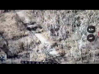porn северное наше моя родная славянка сделала всем нам такой подарок к празднику 23 февраля пишет военкор марат porn