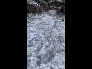 porn это видео четко показывает эмоциональное состояние молодые на передовой porn