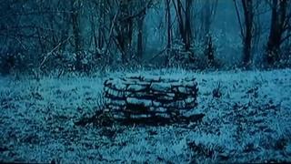 porn the ring virt a mate yamamura sadako artist love wolf big ass big breasts dominant ghost horror monster monster gir porn