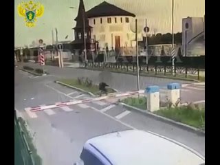 porn московская прокуратура опубликовала последнее видео на котором замечена пропавшая фигуриста алина горбачева porn