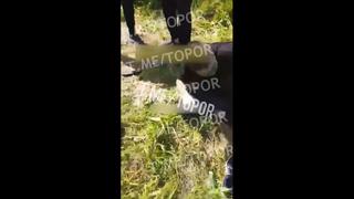 porn поймали закладчицу и её парня porn