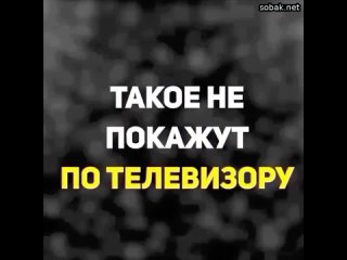 porn сидела скучала целыми днями пока подруга не показала этот прекрасный канал пусть говорят тут соб porn