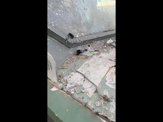 porn выведенный из строя и брошенный боевиками всу бронеавтомобиль panthera t6 производства компании mspv из оаэ u g m porn
