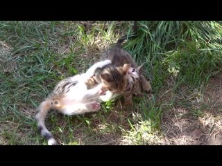porn приехал племянник училки опять в лагере перемены 1080p hd porn