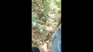 porn familia dihutan mp4 porn