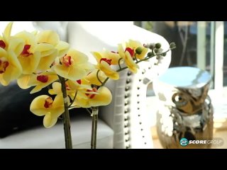 porn зрелая пухлая блондинка codi vore эффектно трясет своими большими сиськами и хочет разврата телочка эротично porn
