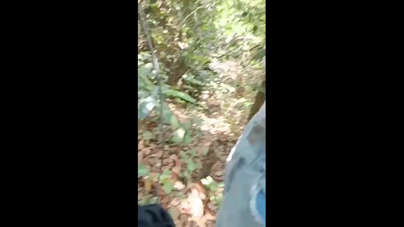 porn видео от burmese 18 porn