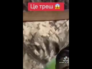 porn очередное душераздирающее видео из украины появилось в сети porn