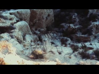 porn проклятье волчьей горы 2023 все молодые 23112023200620 mpeg 4 720p mp4 porn