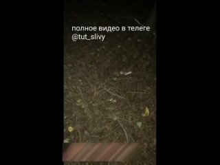 porn либо я тебя убью нахй либо раздевайся в лесу заставил раздеться студентка школьница заставил сосать сосет минет porn