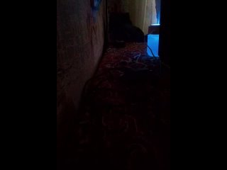 porn соседка шлюха тупая проснулась началось недотрах веселье дикий орет как хочет porn