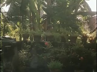 porn erotic dream of aladdin x 1994 porn
