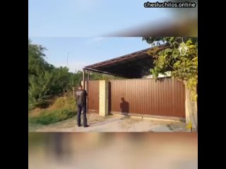 porn в краснодарском крае мать закладчица вонзила нож в грудь 3 месячного малыша а затем попыталась свес porn