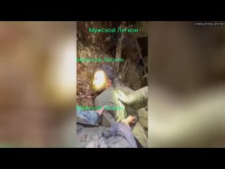 porn опубликовано ещё одно видео задержания одного из террористов он прятался от спецназа на дереве porn