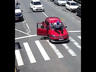 porn водитель авто решил пропустить бедную собачку на пешеходном переходе но мотохруст оказался не внимательным и porn
