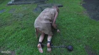 porn средневековое рабство totally slavery village slave girl porn whipping worship brutal master torturing water porn