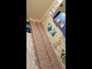 porn видео от bigo tango buzzcast crazy cash periscope porn