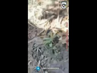 porn полк калиновского показал мощное видео боя с передовой porn